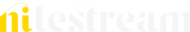 Nilestream Logo